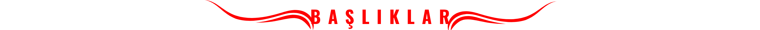 ElitTürk Banner